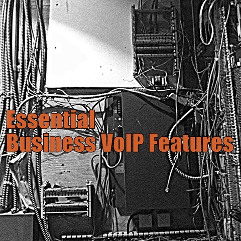 Essential Business VoIP Features